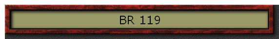 BR 119