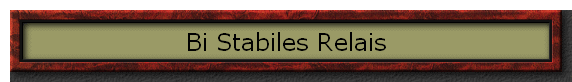 Bi Stabiles Relais